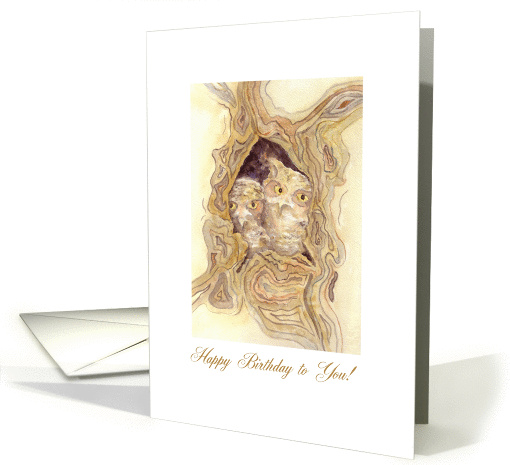 Owlets happy birthday card (1412388)