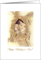 Owlets happy birthday card