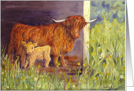 Highland Cow and Calf Blank Note card