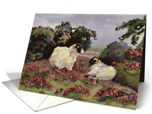 Sheep in Heather Blank Note card (1447942)