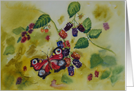 Butterfly and Brambles blank inside note card