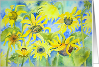Sunflowers, Blank Any Occasion card