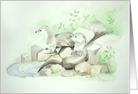 Otters by the Pool, Any Occasion Blank card