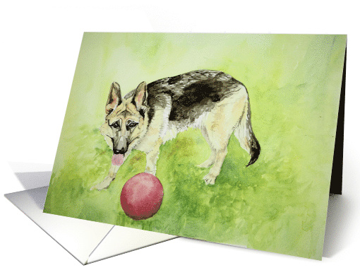 German Shepherd and Ball, Any Occasion Blank card (1580186)