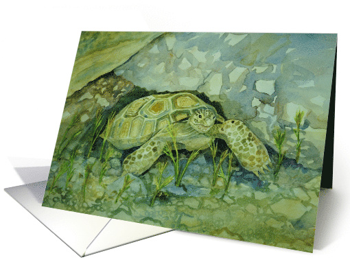 Emerging Tortoise Blank Note card (1747858)
