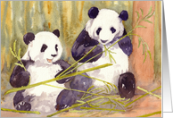 Pandas Blank Inside Greetings Card
