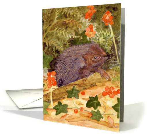 Hedgehog Blank Inside Greetings card (883938)