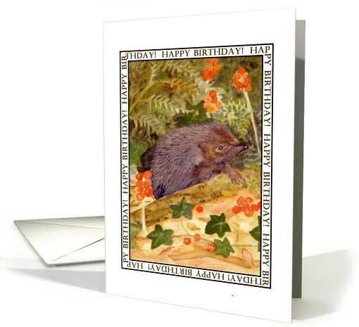 Hedgehog Birthday card (883965)