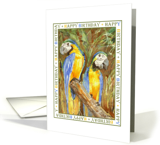Macaws Birthday card (884191)