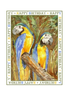 Macaws Birthday