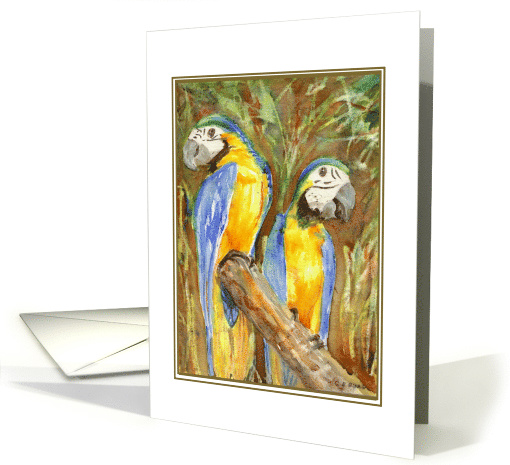 Macaws Blank Inside Greeting card (887253)