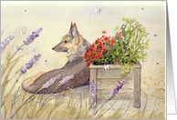 Dog Days, German Shepherd Among Flowers, Blank Inside Note Card