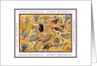 Happy Birthday, Turtles Watercolor card