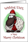 Wishing Ewe Sheep Merry Christmas Card