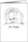 Oh, Sheep! Cartoon Belated Birthday card