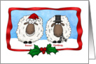 Baaa Humbug Cartoon Sheep Christmas card