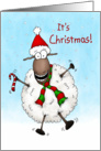 Super Excited It’s Christmas Sheep card