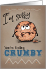 Sorry feeling crumby cookie get well card