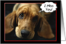 Miss You Sweet Basset Hound card