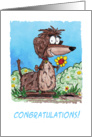 Congratulations Happy for You Cartoon Dachshund card