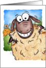 Howdy Cartoon Sheep card