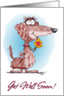 Get Well Soon Cartoon Dachshund Card