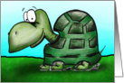 Happy Turtle Belated Birthday Card