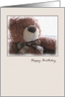 Painted Teddy Bear Happy Birthday Card