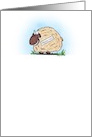 Protected Sheep Cartoon Blank card