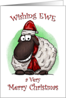 Wishing Ewe Sheep...