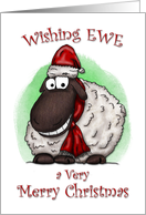 Wishing Ewe Sheep Merry Christmas Card