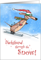 Dachshund through...