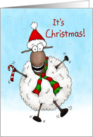 Super Excited It’s Christmas Sheep card