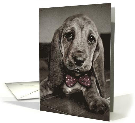 Sepia Basset Hound Puppy Pawsitively Amazing Birthday card (1486524)