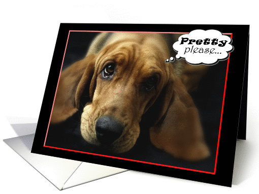 Valentine Sweet Basset Hound Pretty Please card (893006)