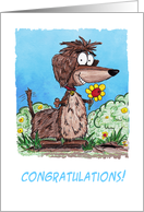 Congratulations Blank Cartoon Dachshund card