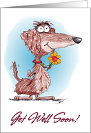 Get Well Soon Cartoon Dachshund Card