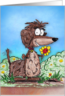 Cartoon Dachshund Digging up Flowers Friendship Card