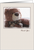 Painted Teddy Bear Thank You Card