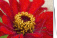 Painted Red Zinnia...