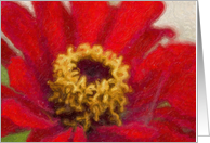Painted Red Zinnia Flower Birthday Card