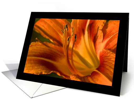 Get Well, Soon, Water Color Painting of Orange Lily card (915758)