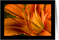 Get Well, Soon, Water Color Painting of Orange Lily card