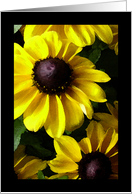 Happy Birthday, Grandmother, Water Color Painting of Black Eyed Susan card