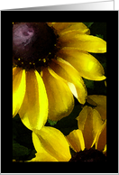 Happy Birthday, Mom, Water Color Painting of Black Eyed Susan card