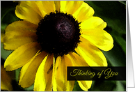 Thinking of you, Watercolor Black Eyed Susan Flower card