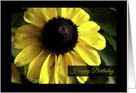 Happy Birthday Watercolor Black Eyed Susan Flower card