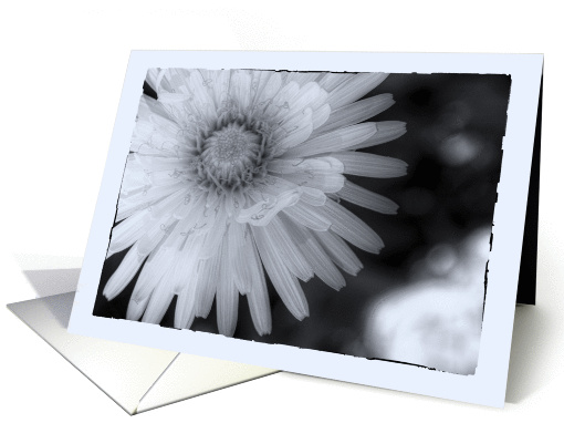Deepest Sympathy Cool Tone Dandelion card (927810)