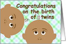 Congratulations on the Birth of Twins, From All of Us card