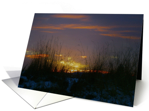 End of the Day Golden Sunset, Blank Note card (897981)